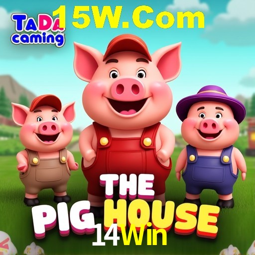 Interface Premium 14Win